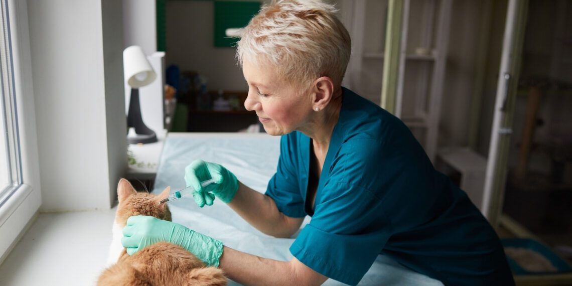 kedilerde kuduz hastalığı