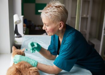 kedilerde kuduz hastalığı