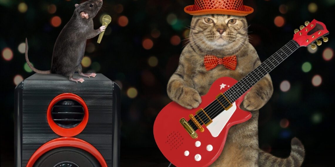 kediler müzik diler mi