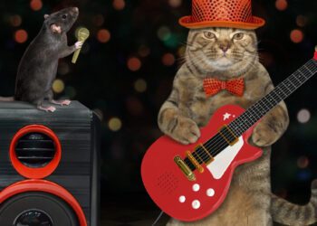 kediler müzik diler mi