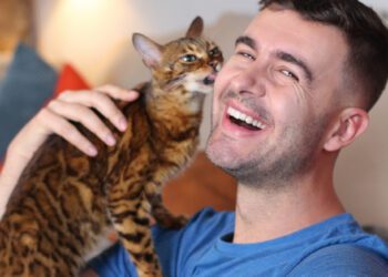 kediler neden sizi yalar