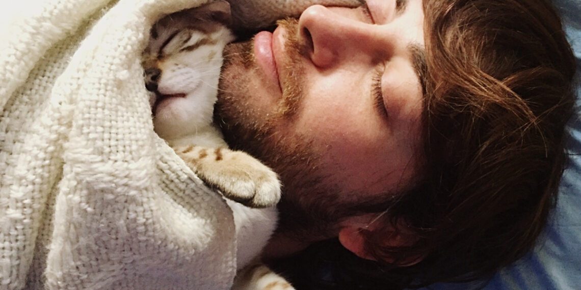 kediler neden sahipleriyle uyur