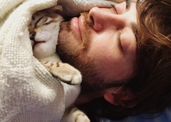 kediler neden sahipleriyle uyur