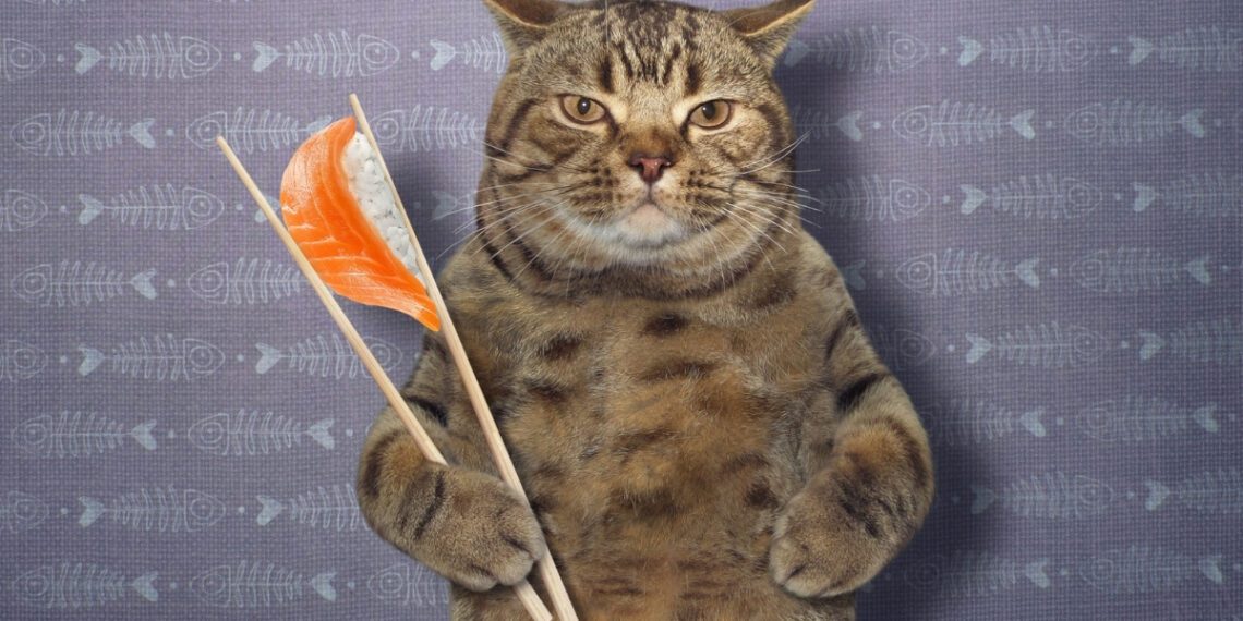 kedi tüy dökme sorunu ve beslenme ilişkisi