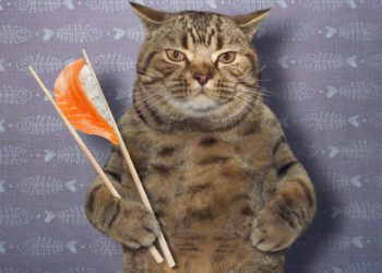 kedi tüy dökme sorunu ve beslenme ilişkisi