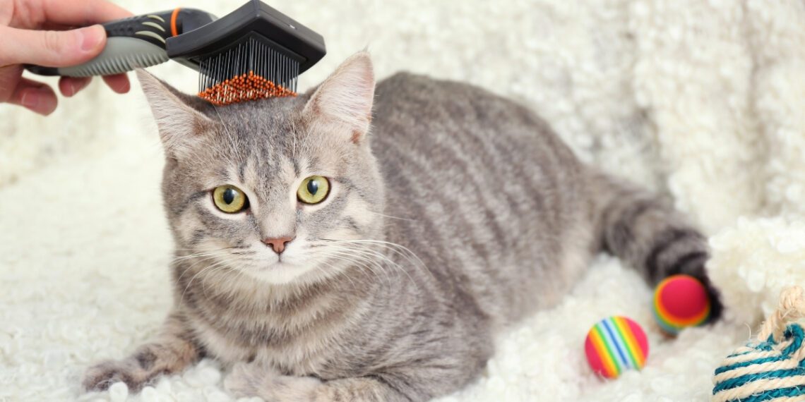 keri tarağı seçimi nasıl olmalıdır