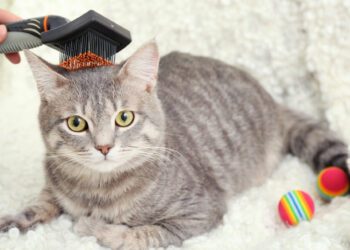 keri tarağı seçimi nasıl olmalıdır